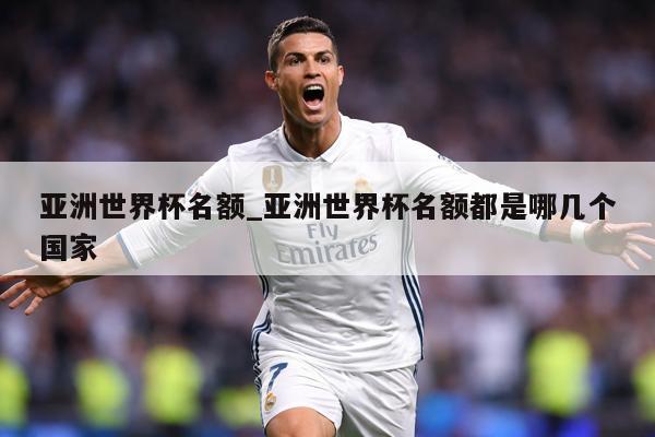 亚洲世界杯名额_亚洲世界杯名额都是哪几个国家