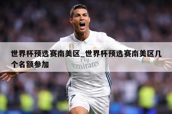 世界杯预选赛南美区_世界杯预选赛南美区几个名额参加