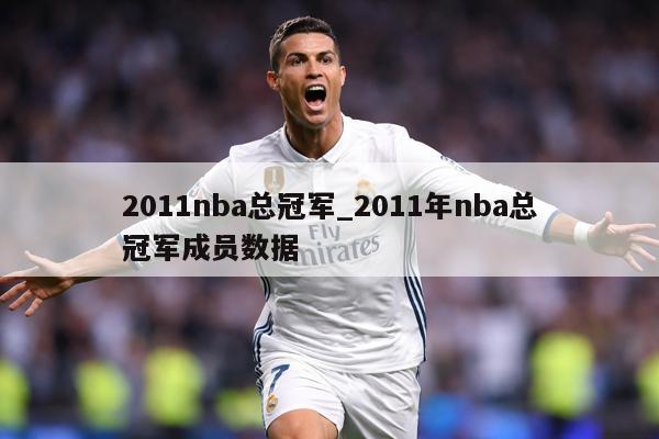 2011nba总冠军_2011年nba总冠军成员数据